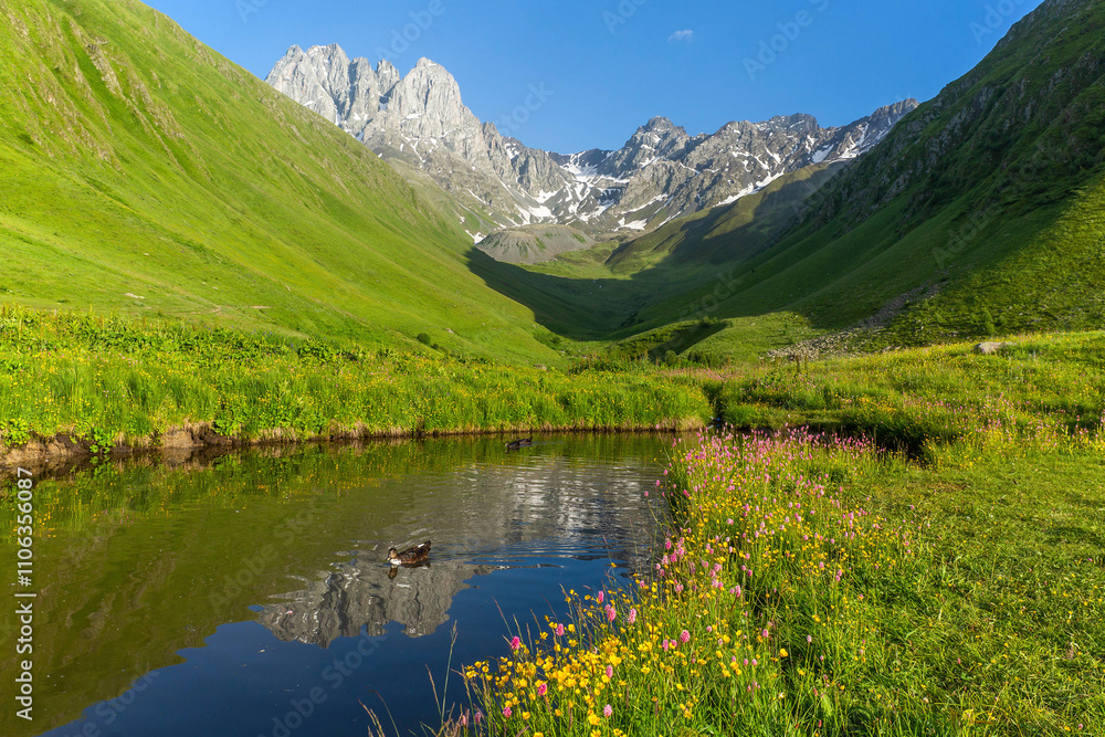 Hiking trail to Chaukhi mount from the village of Juta. Reflection of Chaukhi in the small lake with ducks and flowers on the shore. Hiking trail to Chaukhi mount from the village of Juta. Reflection of Chaukhi in the small lake with ducks and flowers on the shore.