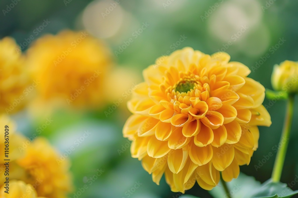 A close-up view of a bright yellow flower with green leaves, perfect for botanical or nature-themed projects A close-up view of a bright yellow flower with green leaves, perfect for botanical or nature-themed projects