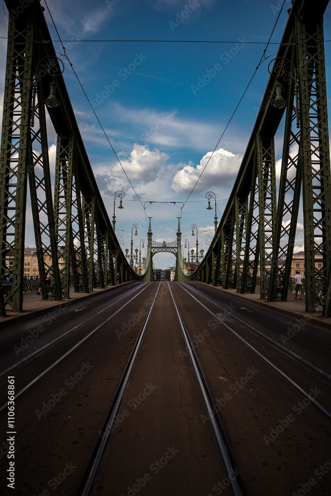 Fototapeta premium Bridge over the river.