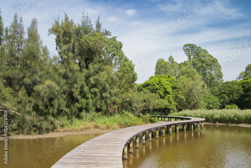 Wooden path leading through the wilderness and trees of the Hong Kong wetlands on a sunny day photo