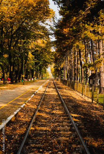 Railway in autumn.