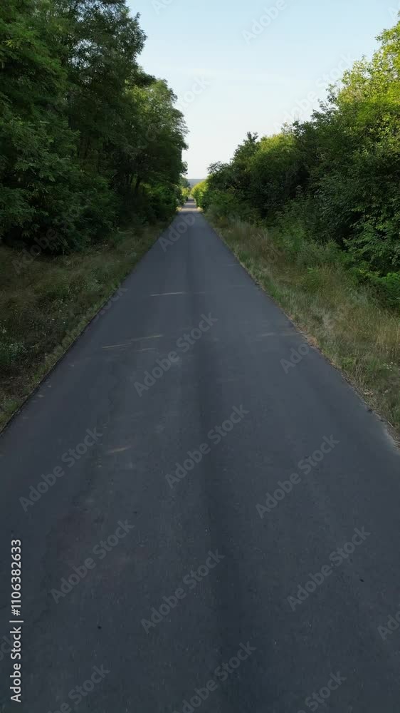 A stunning flight view captures a tranquil road surrounded by lush green trees, showcasing nature's beauty under bright sunlight. A stunning flight view captures a tranquil road surrounded by lush green trees, showcasing nature's beauty under bright sunlight.