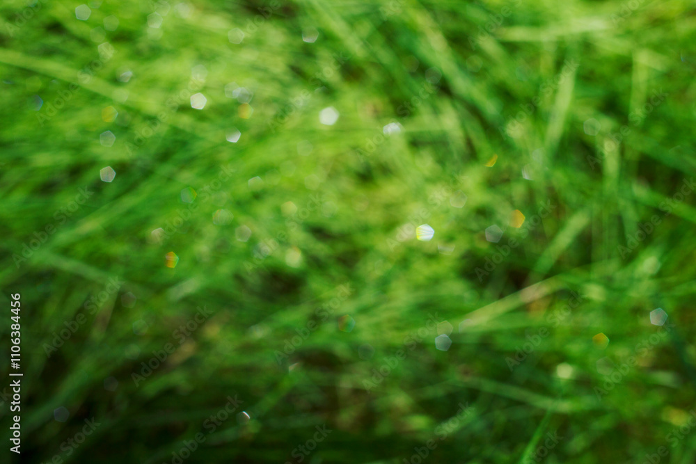 unfocused nature background with dew drops on green grass unfocused nature background with dew drops on green grass