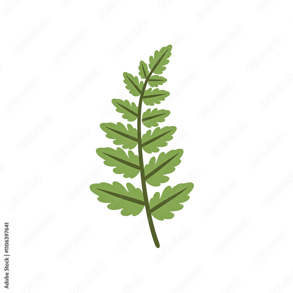 Delicate green fern frond with evenly spaced leaflets Delicate green fern frond with evenly spaced leaflets