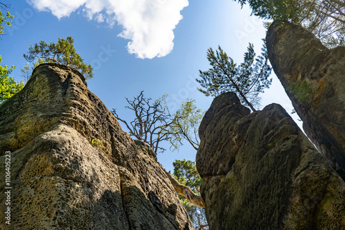 Limestone rock in Kokorinsko, Czech Republic