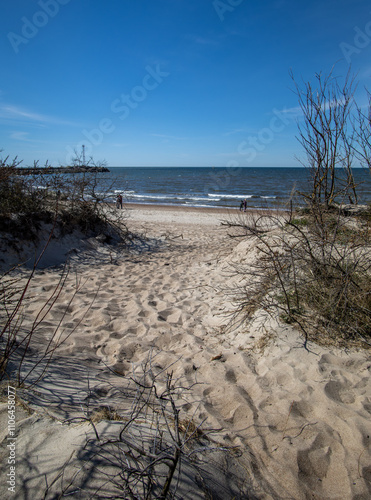 sand dunes on the beach