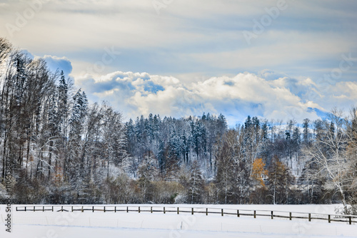 Winter wonderland in Aeugst am Albis Switzerland, snowy forest near Zurich photo