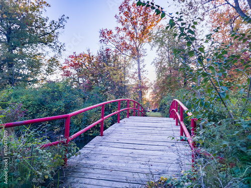 A wooden bridge over a creek in the fall on Belle Isle in Detroit, Michgan photo