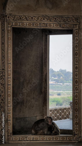 Obraz na plátně The architecture of the Agra Fort in India