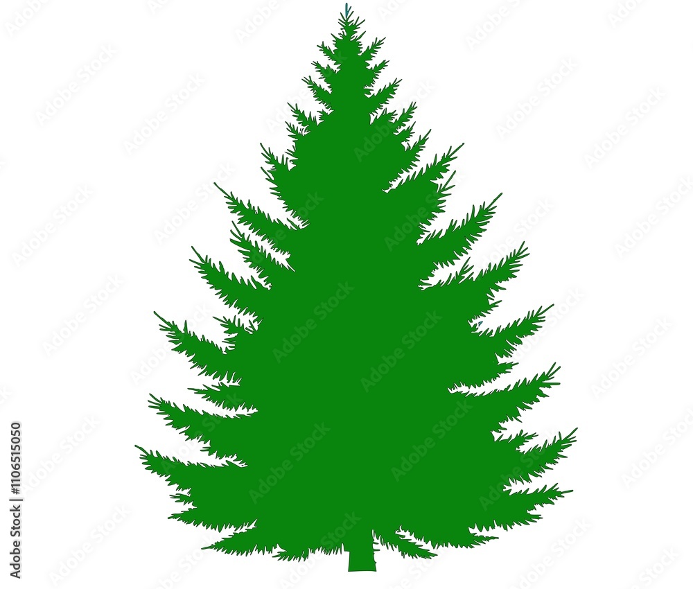 Obraz premium green spruce, tree