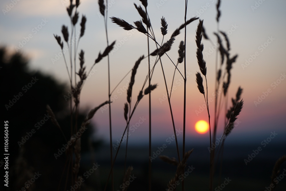 Sunrise Sunrise