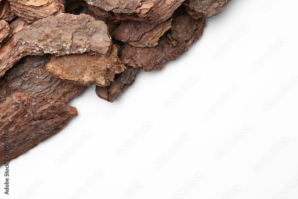 Pieces of tree bark on white background, top view. Space for text Pieces of tree bark on white background, top view. Space for text