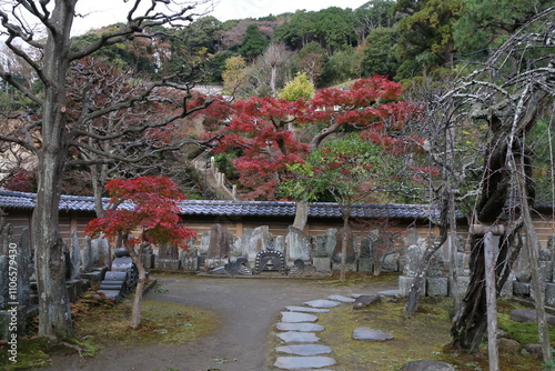 秋の鎌倉の風景。円覚寺の紅葉。 百観音霊場。 photo