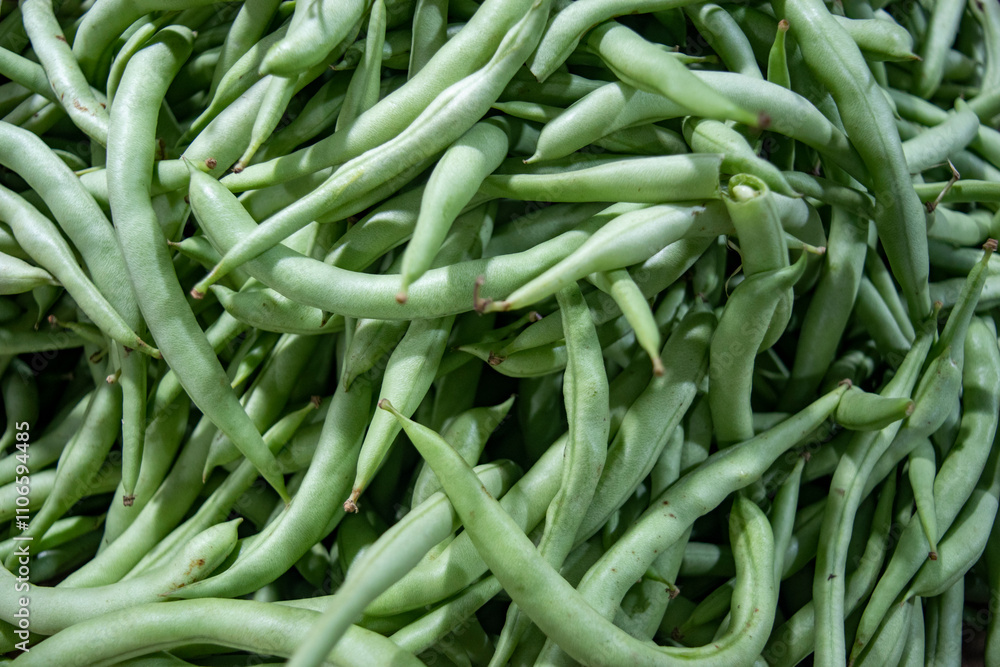 A pile of organic raw young green beans in the traditional market. A pile of organic raw young green beans in the traditional market.