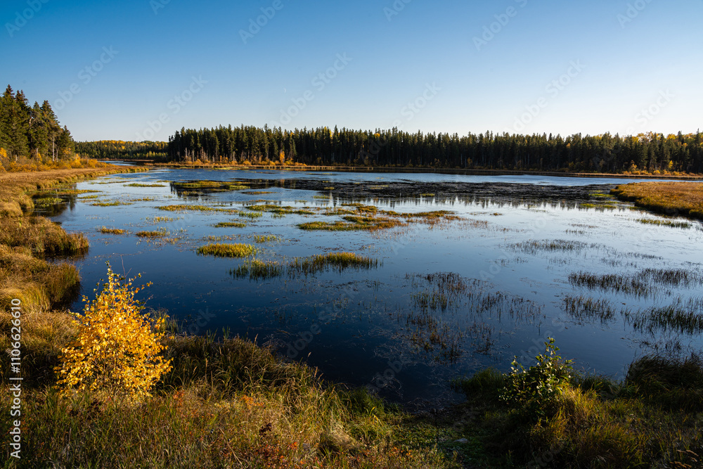 Fototapeta premium A lake with a forest in the background