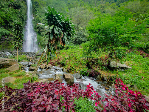 Cijalu waterfalls or Curug Cijalu of Subang west Java Indonesia. Beautiful waterfalls on the mountain forest.  photo