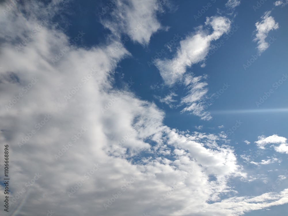 Obraz premium 東京のそら(24.11.29)