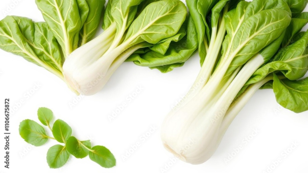 Fresh pak choi cabbage leaves arranged neatly on a bright white background, showcasing their vibrant green color and crisp texture, organic, pak choi Fresh pak choi cabbage leaves arranged neatly on a bright white background, showcasing their vibrant green color and crisp texture, organic, pak choi