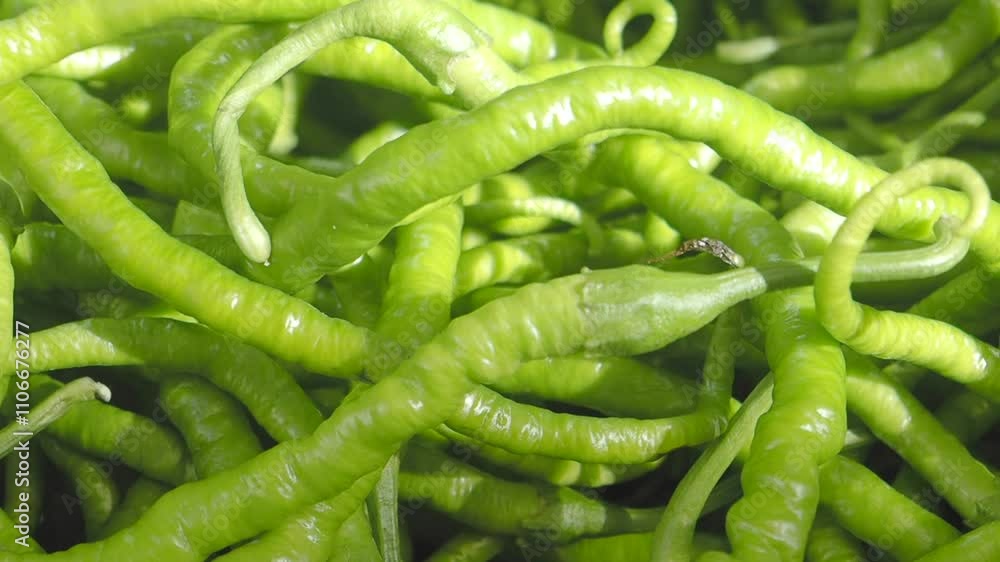 slow motion of dropping Vibrant green chilies . slow motion of dropping Vibrant green chilies .