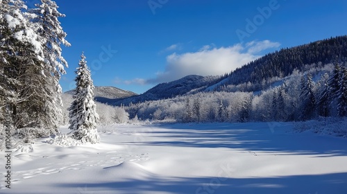Wallpaper Mural Winter Wonderland Snowy Forest Scene Peaceful Mountain View Torontodigital.ca