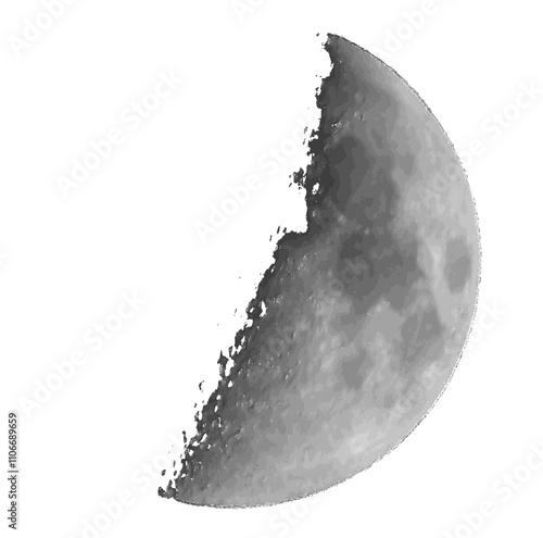 Waxing half moon vector