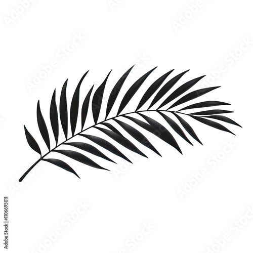 A palm leaf silhouette, modern design, monochromatic black, isolated on white background