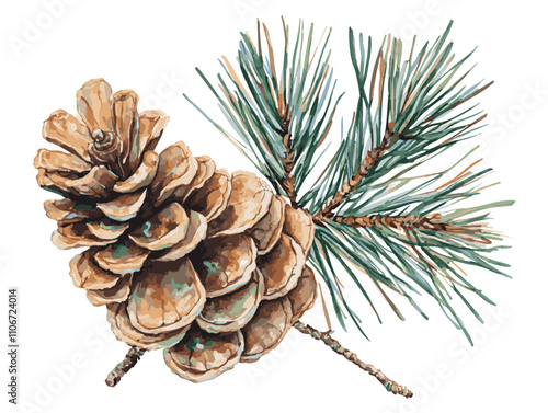 A detailed illustration of a pinecone attached to a lush green pine branch against a white background.