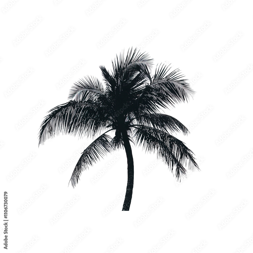 A palm tree silhouette, tropical element, stylized design, monochromatic black, isolated on white background A palm tree silhouette, tropical element, stylized design, monochromatic black, isolated on white background