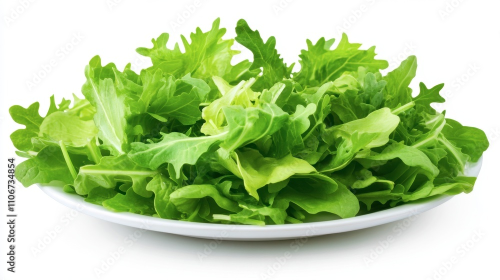 Fresh Green Lettuce Salad on a White Plate Fresh Green Lettuce Salad on a White Plate
