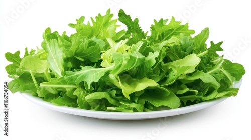 Fresh Green Lettuce Salad on a White Plate