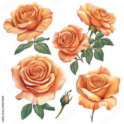 Vector set of beautiful rose flowers in a delicate watercolor style, perfect for wedding invitations, greeting cards, packaging, and more creative projects