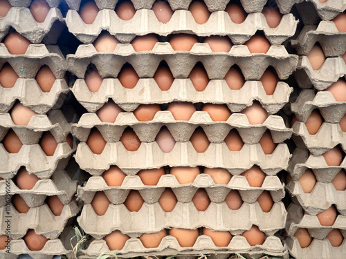 Obraz na płótnie Organic Chicken Egg in tray or egg box contains high protein and important for health. w salonie