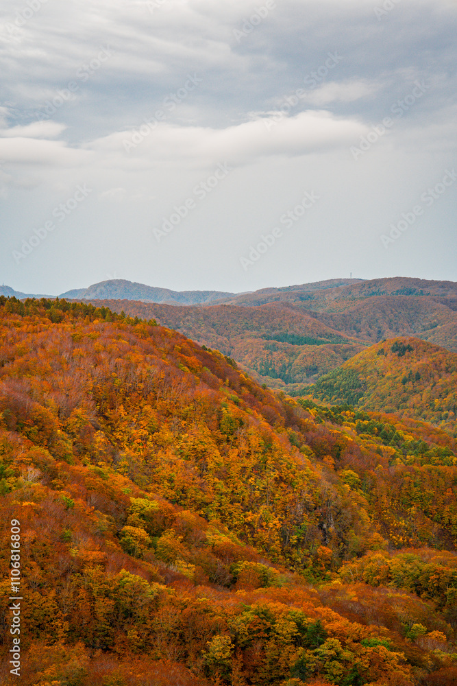 Hakoda mountain and Jogakura bridge view in Japan, famous travel destinations in autumn and fall season. Color of nature, season and leaf. An aerial view of maple tree, fantasy landscaped discovery. Hakoda mountain and Jogakura bridge view in Japan, famous travel destinations in autumn and fall season. Color of nature, season and leaf. An aerial view of maple tree, fantasy landscaped discovery.