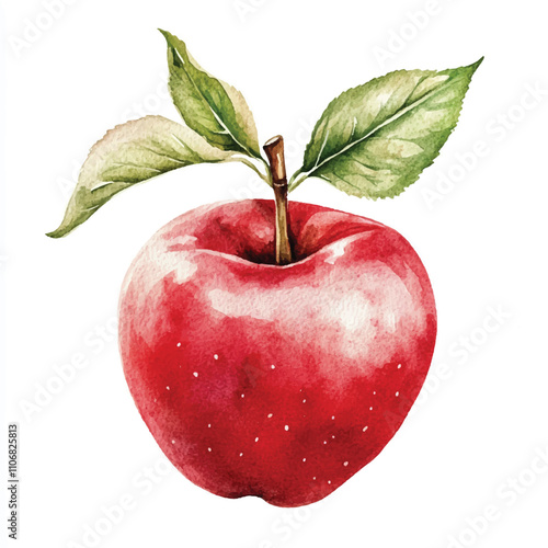 Rose apple fruit watercolor clipart illustration