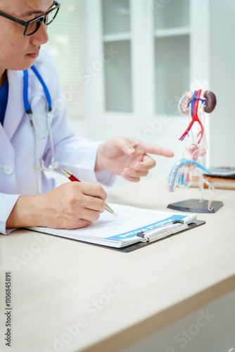 A male doctor sits at a desk in a hospital, discussing male urinary tract models and conditions like enlarged prostate, prostatitis, cystitis, urinary tract infections.Early diagnosis aids effective photo