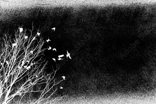 Silhouette of bare tree with flying birds. Gothic style illustration	