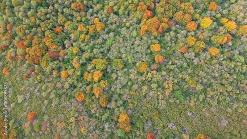 The Park of the Volcanoes of Auvergne (France)