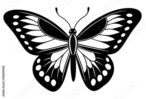 black and white butterfly