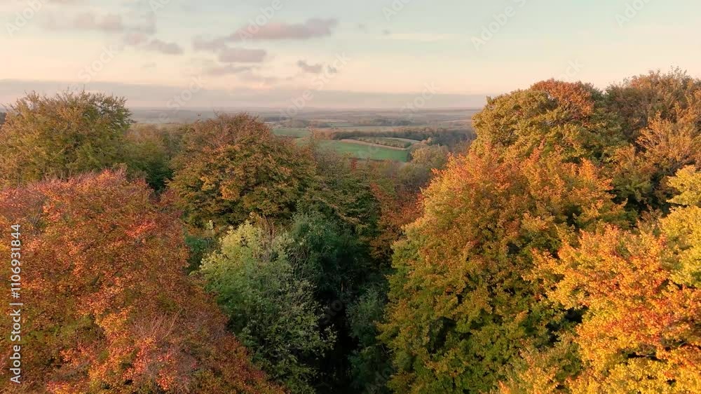 Flight between golden and red Autumn trees towards rolling countryside on bright Autumn day Flight between golden and red Autumn trees towards rolling countryside on bright Autumn day