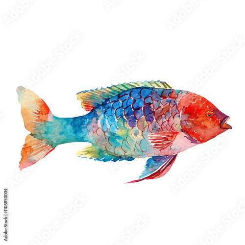 A watercolor vector of a Parrotfish, isolated on a white background. Parrotfish vector.