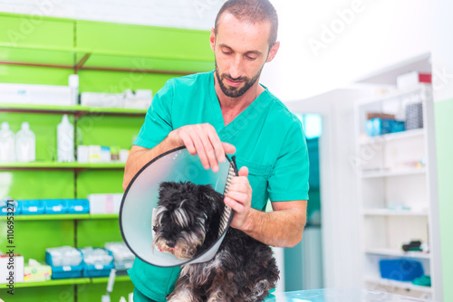 Veterinarian putting elizabethan collar on dog at animal hospital photo