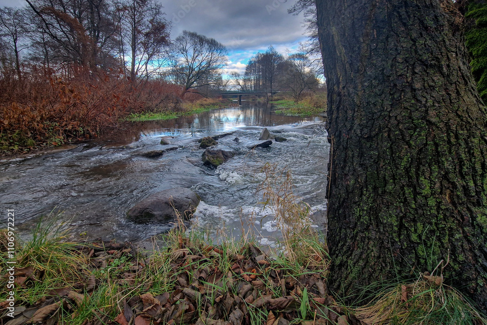 Autumn on the river on a cloudy day.