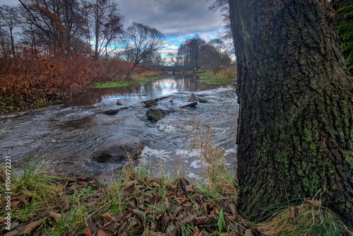 Obraz na płótnie Autumn on the river on a cloudy day. w salonie