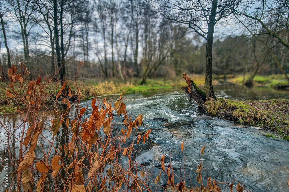 Autumn on the river on a cloudy day. Autumn on the river on a cloudy day.