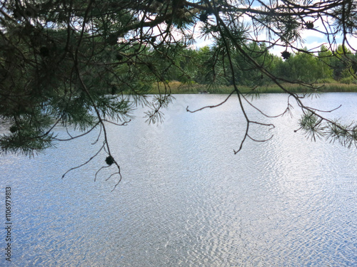 quiet forest lake in the Lopatinsky quarries near the village of Phosphorite photo