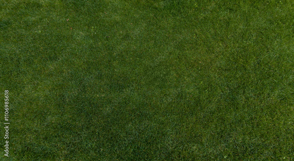 Fototapeta premium Lush Green Grass Lawn Background, Banner