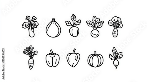 Hand-drawn Illustrations of Various Fresh Vegetables in Outline Style photo