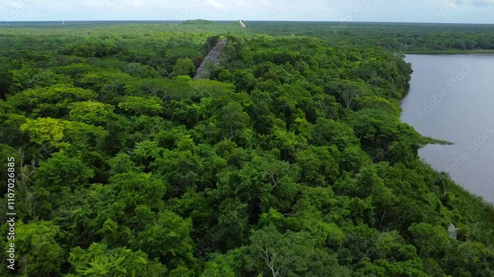 An ancient step pyramid rises from the heart of a dense jungle, surrounded by vibrant vegetation. Coba Archaeological Zone, Quintana Roo. An ancient step pyramid rises from the heart of a dense jungle, surrounded by vibrant vegetation. Coba Archaeological Zone, Quintana Roo.