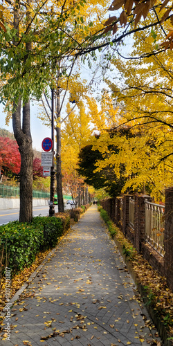 Autumnal street view of Jongno, in Seoul, Korea, in a peaceful and serene atmosphere photo