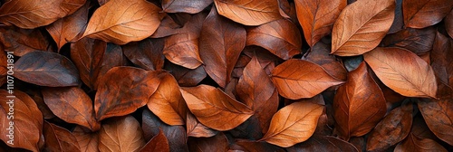 A Close-Up View of  Dried Brown Leaves with Detailed Veins
